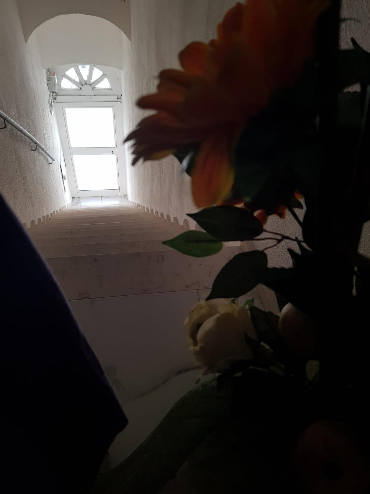 Di Fronzo Guest House T 트리기아노 외부 사진